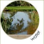 Nigel Bean garden services